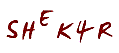 secret code