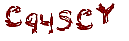 secret code